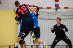 handball_herren_121117SH7_8860