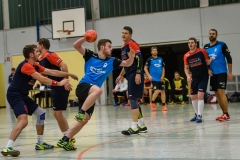 handball_herren_121117SH7_8872