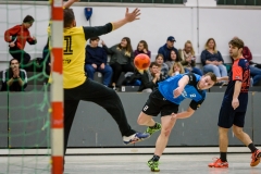 handball_herren_121117SH7_8887