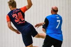 handball_herren_121117SH7_8891