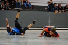 handball_herren_121117SH7_8899