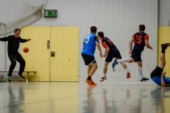 handball_herren_121117SH7_8901