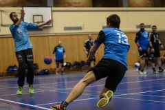 20170219 Marpingen Nr 006