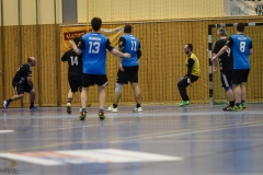 20170219 Marpingen Nr 013