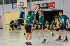 20180121 HSG Werschweiler-WND SSV Wellesweiler (1)