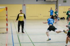 20180121 HSG Werschweiler-WND SSV Wellesweiler (10)