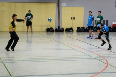 20180121 HSG Werschweiler-WND SSV Wellesweiler (11)