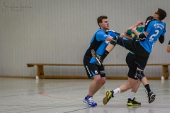 20180121 HSG Werschweiler-WND SSV Wellesweiler (18)