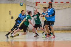 20180121 HSG Werschweiler-WND SSV Wellesweiler (4)