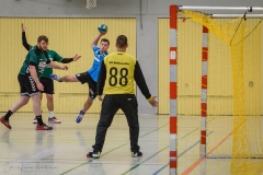 20180121 HSG Werschweiler-WND SSV Wellesweiler (5)