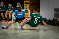 20180121 HSG Werschweiler-WND SSV Wellesweiler (6)