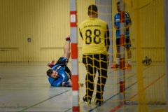 20180121 HSG Werschweiler-WND SSV Wellesweiler (7)