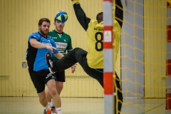 20180121 HSG Werschweiler-WND SSV Wellesweiler (8)