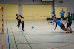 20180121 HSG Werschweiler-WND SSV Wellesweiler (9)