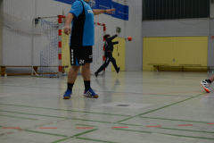 20211211-HSG-Werschweiler-St.Wendel-gegen-VTZ-Saarpfalz-3-08