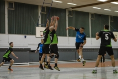 handball 111216 WND-8554
