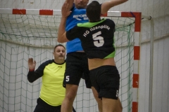 handball 111216 WND-8590