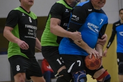 handball 111216 WND-8609