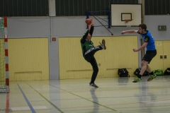 handball 111216 WND-8615