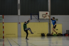 handball 111216 WND-8628